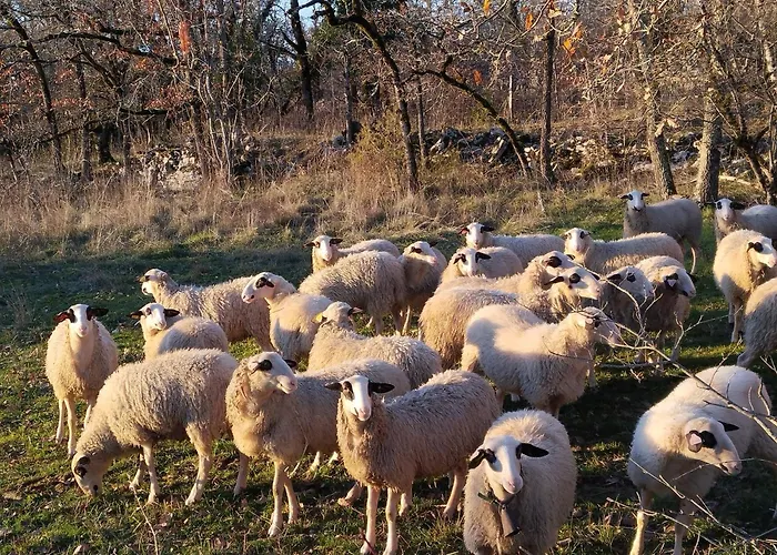 Gite Rural, Proche Des Sites Touristiques